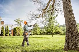 Best Lawn Maintenance Plans  in Independence, KS