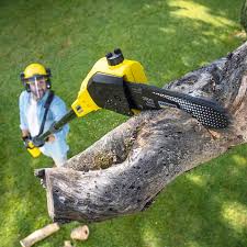 Best Lawn Grading and Leveling  in Independence, KS